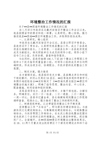 环境整治工作情况的汇报 