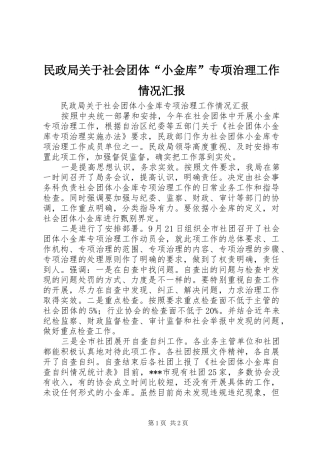 民政局关于社会团体“小金库”专项治理工作情况汇报 