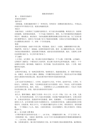 收集青春的碎片 