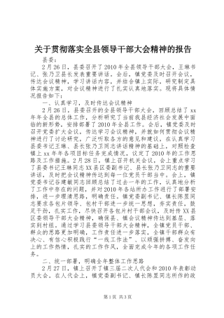 关于贯彻落实全县领导干部大会精神的报告 