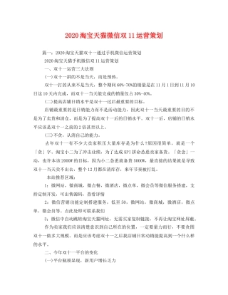 2020淘宝天猫微信双11运营策划 