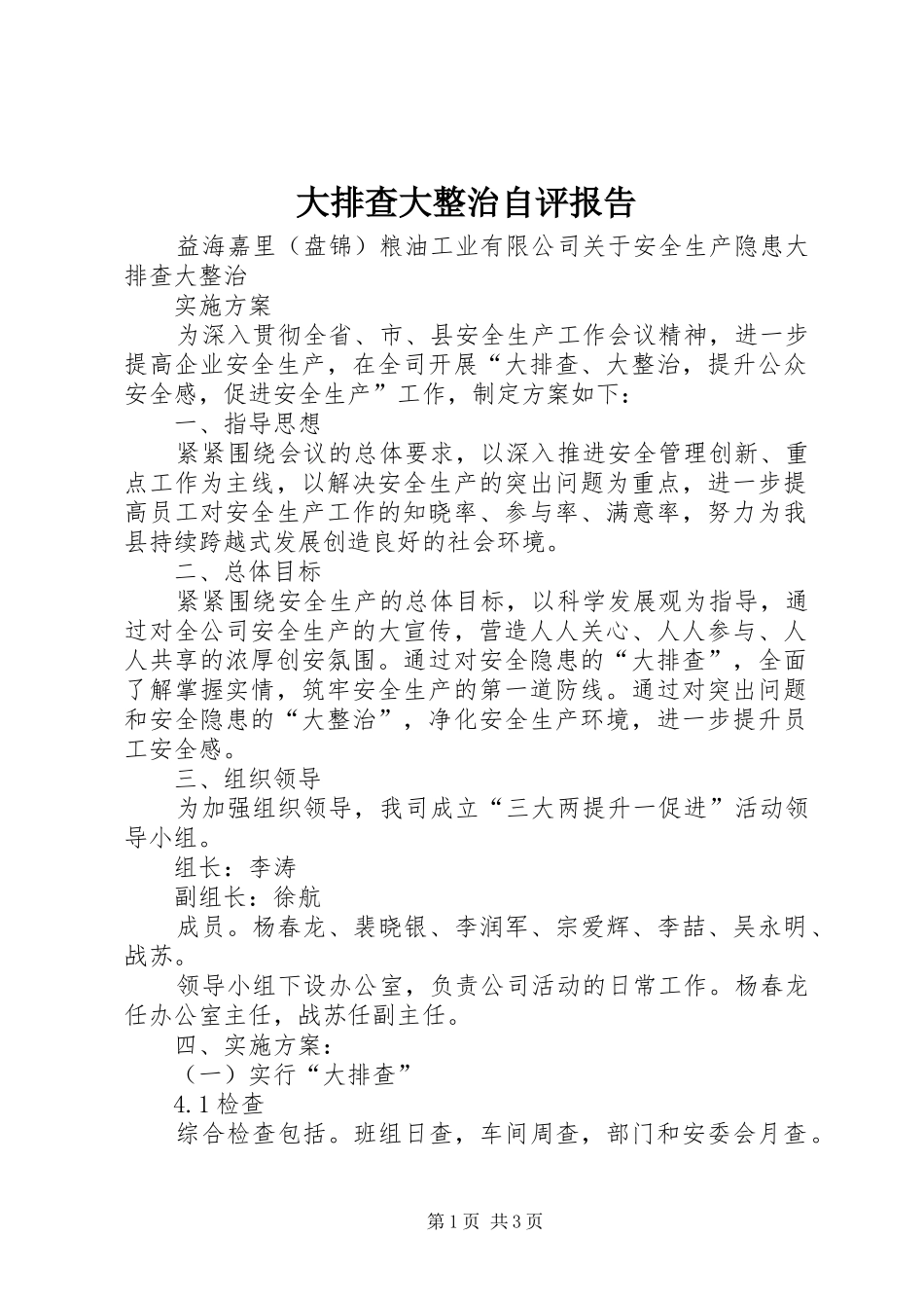 大排查大整治自评报告 _第1页