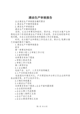 清洁生产审核报告 