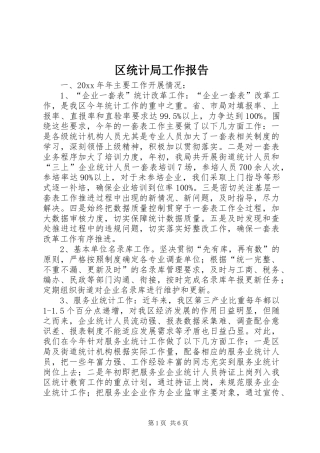 区统计局工作报告 