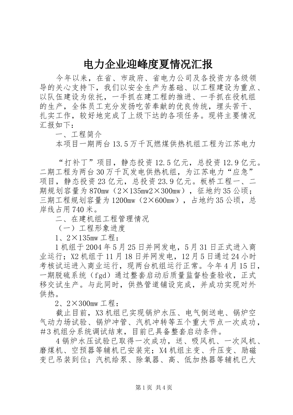 电力企业迎峰度夏情况汇报 _第1页
