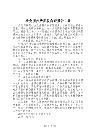 社会抚养费征收自查报告2篇 