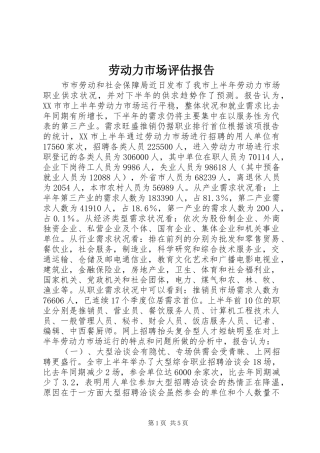 劳动力市场评估报告 