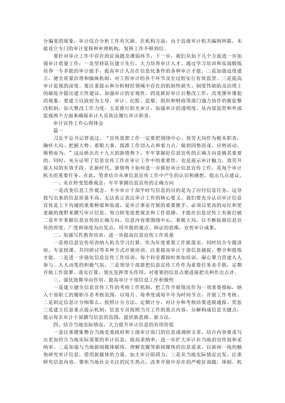 审计工作自查报告参考 _第3页