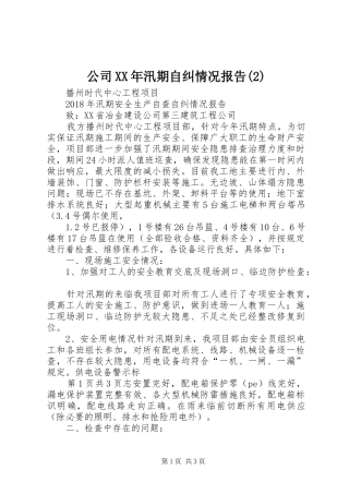 公司XX年汛期自纠情况报告