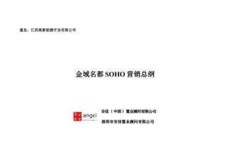 安佳置业-南昌金域名都SOHO营销策划方案-48