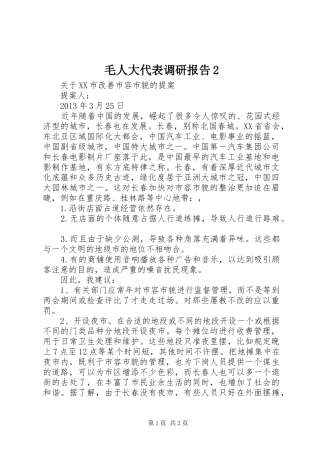 毛人大代表调研报告2 