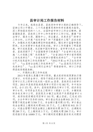 县审计局工作报告材料 