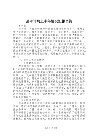 县审计局上半年情况汇报2篇