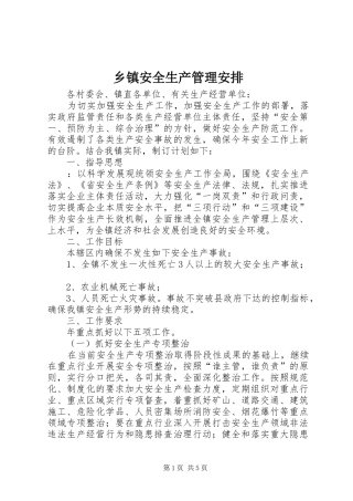 乡镇安全生产管理安排