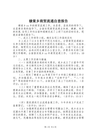 棣棠乡商贸流通自查报告 