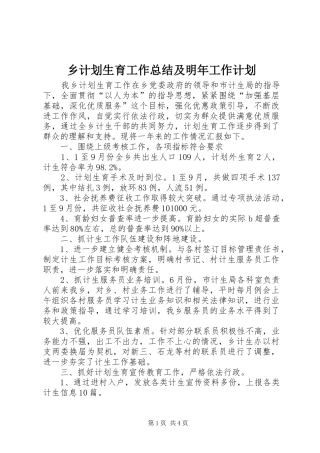 乡计划生育工作总结及明年工作计划