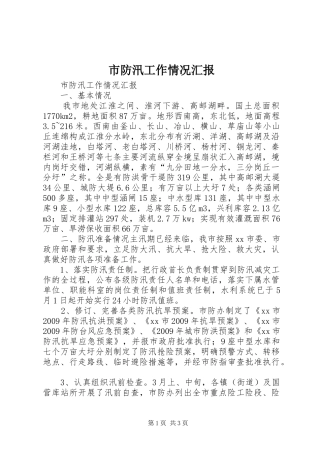 市防汛工作情况汇报 