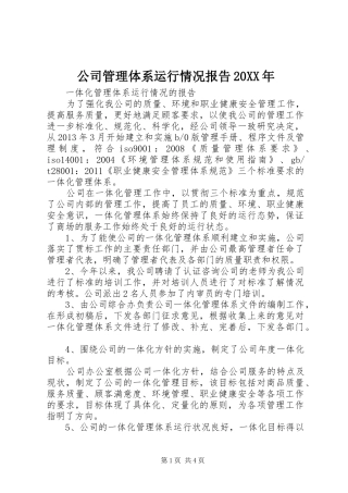 公司管理体系运行情况报告20XX年 (5)