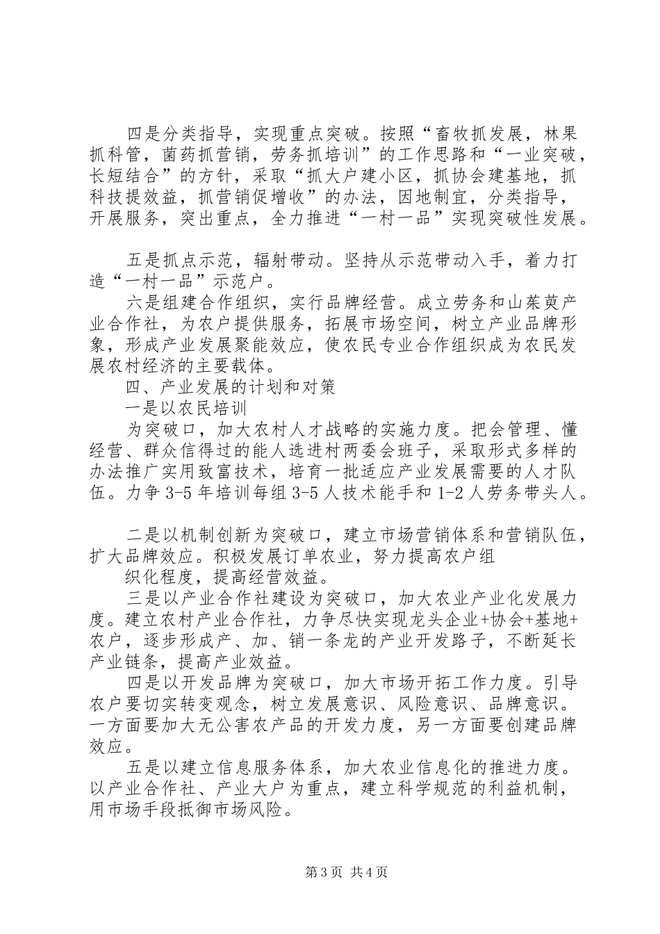关于小厂乡大厂村产业发展调研报告 _第3页
