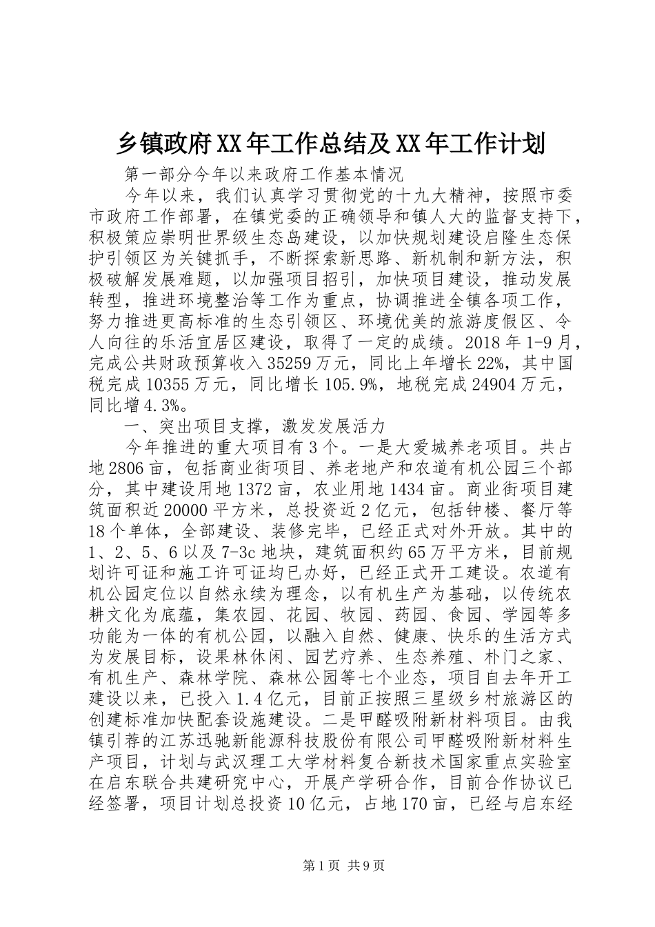 乡镇政府XX年工作总结及XX年工作计划_第1页