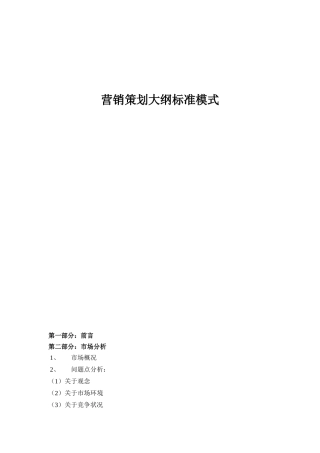 CAINA营销策划大纲标准模式