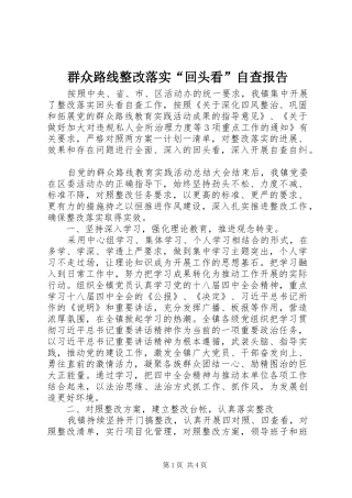 群众路线整改落实“回头看”自查报告 
