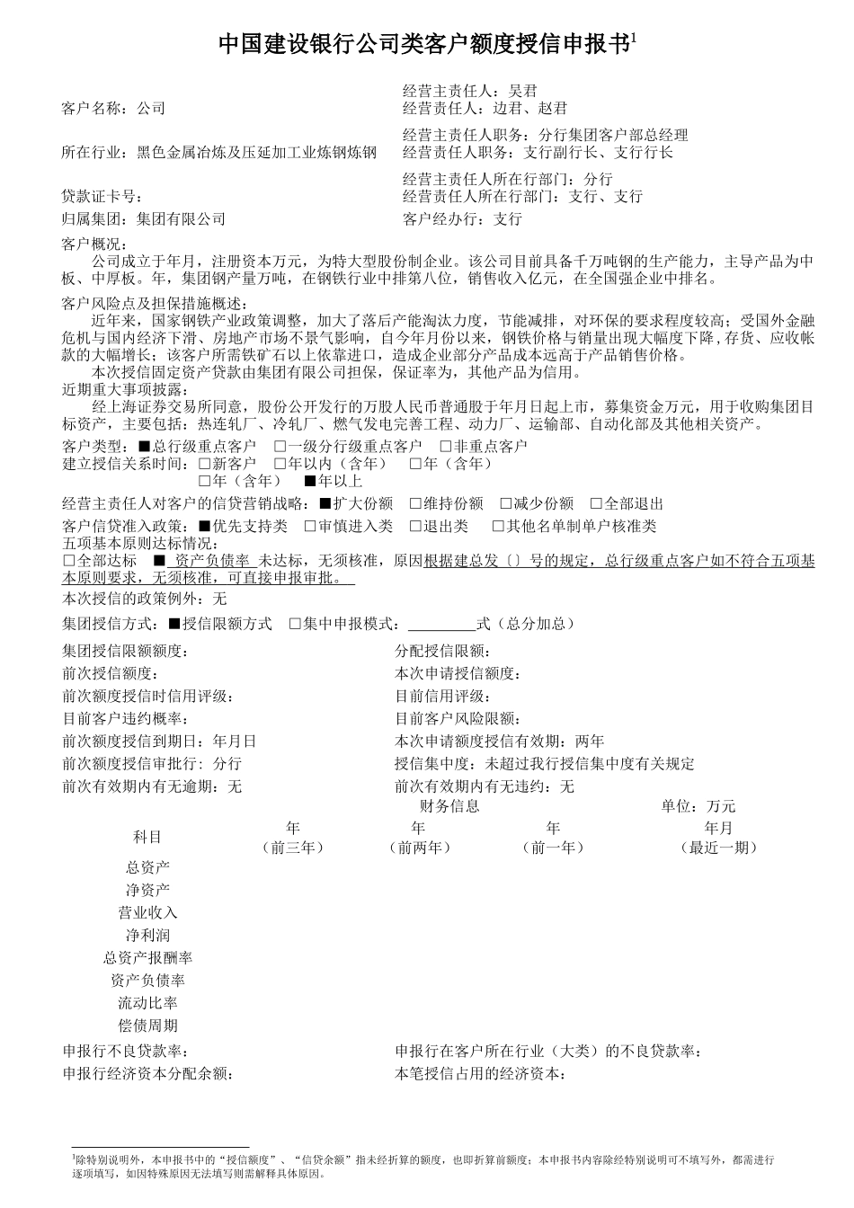 中国某银行公司类客户额度授信申报书_第3页