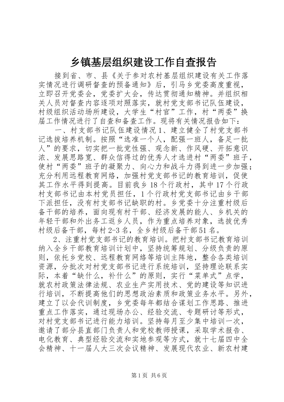 乡镇基层组织建设工作自查报告 _第1页