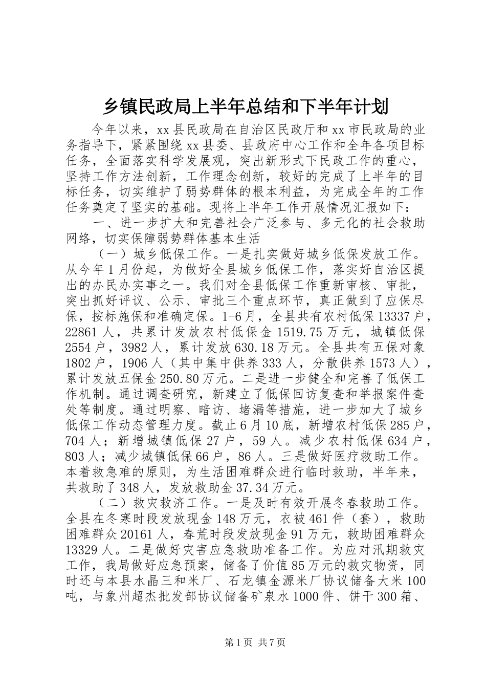 乡镇民政局上半年总结和下半年计划_第1页