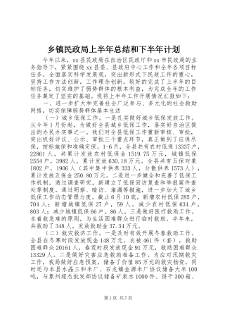 乡镇民政局上半年总结和下半年计划