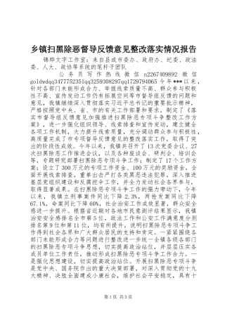 乡镇扫黑除恶督导反馈意见整改落实情况报告 