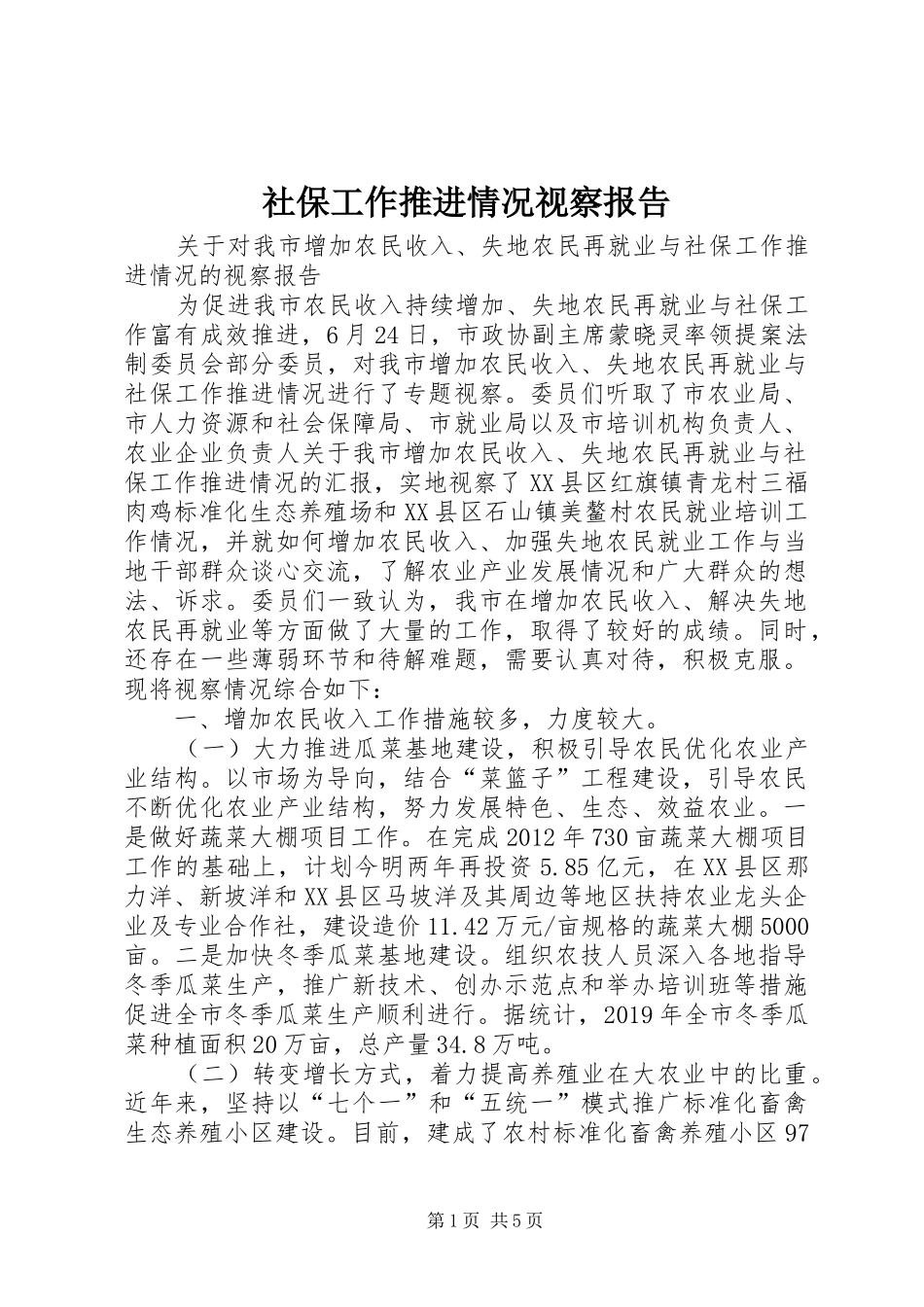 社保工作推进情况视察报告 _第1页