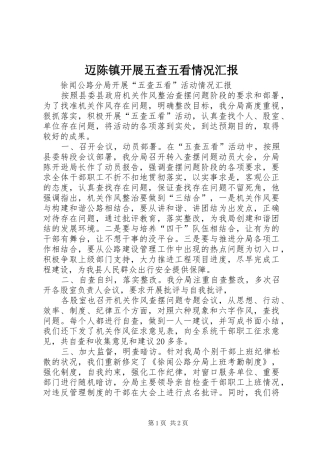 迈陈镇开展五查五看情况汇报 