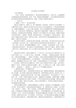 社局党建工作总结报告 