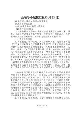县领导小城镇汇报(3月23日)