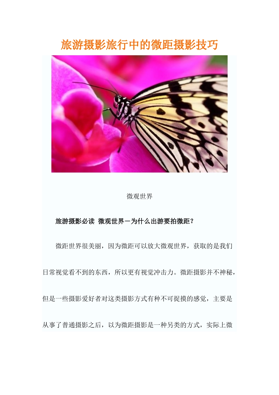 旅游摄影旅行中的微距摄影技巧_第1页