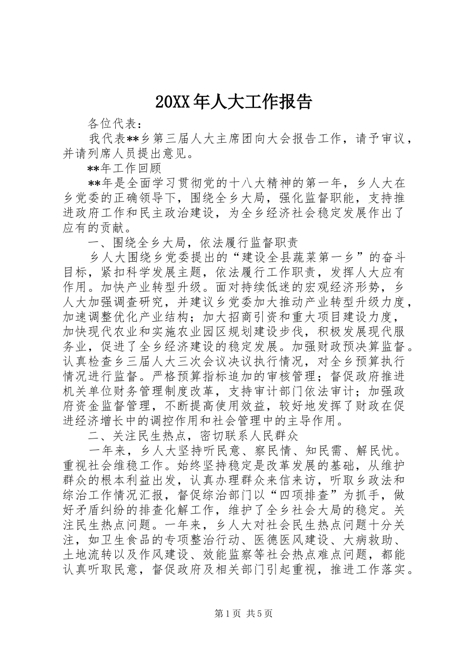 20XX年人大工作报告_第1页