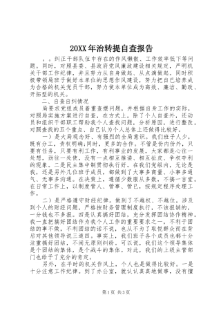 20XX年治转提自查报告