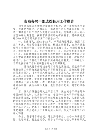 市商务局干部选拨任用工作报告 