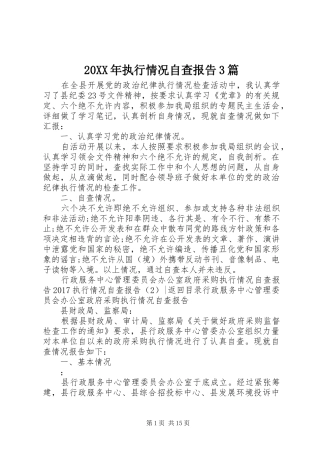 20XX年执行情况自查报告3篇