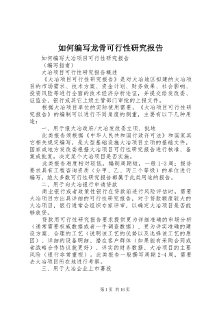 如何编写龙骨可行性研究报告 