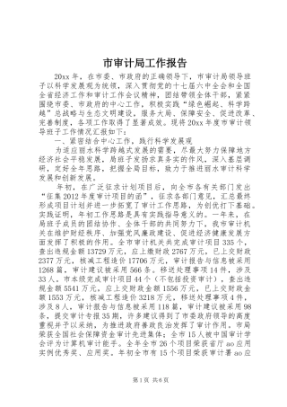 市审计局工作报告 