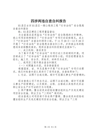 四涉两违自查自纠报告 