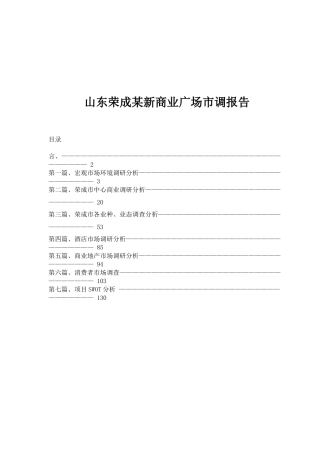 山东某新商业广场市调研究报告