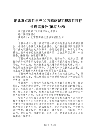 湖北重点项目年产20万吨烧碱工程项目可行性研究报告(撰写大纲) 