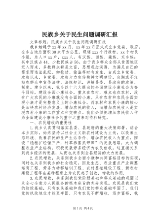 民族乡关于民生问题调研汇报 