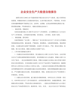 《安全管理文档》之企业安全生产大检查自检报告 