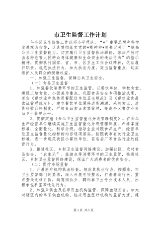 市卫生监督工作计划