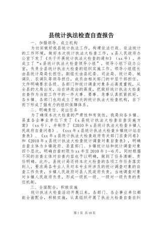 县统计执法检查自查报告 
