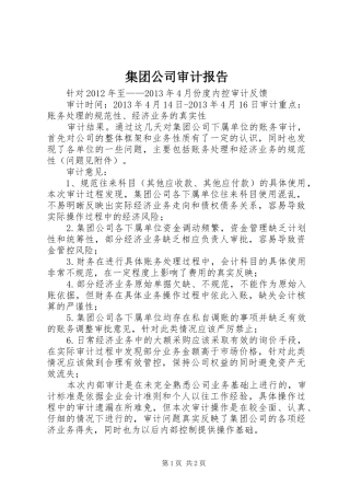 集团公司审计报告 
